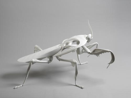 White Bone mantis